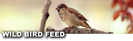 Wild Bird Feeds